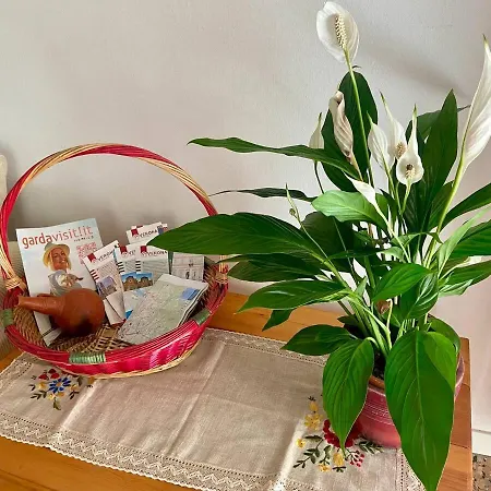 Appartamento Polly's 1 Floor